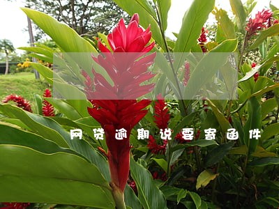 网贷逾期说要寄函件 网贷逾期说要寄函件