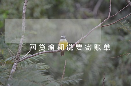 网贷逾期说要寄账单 网贷逾期说要寄账单
