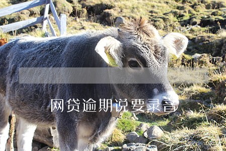 网贷逾期说要录音