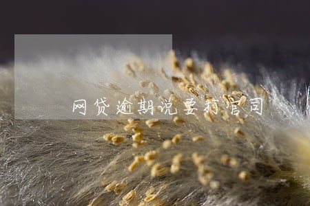 网贷逾期说要打官司 网贷逾期说要打官司