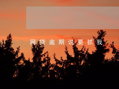网贷逾期说要抓我 网贷逾期说要抓我
