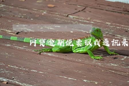 网贷逾期说要报我通讯录怎么报 网贷逾期说要报我通讯录怎么报