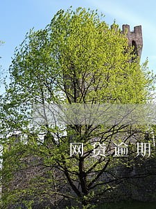 网贷逾期说要本人出庭 网贷逾期说要本人出庭