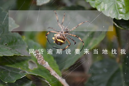 网贷逾期说要来当地找我 网贷逾期说要来当地找我