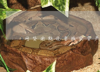 网贷逾期说要核实资产 网贷逾期说要核实资产