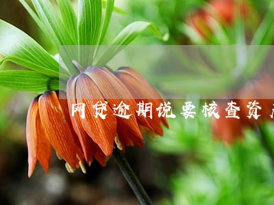 网贷逾期说要核查资产 网贷逾期说要核查资产