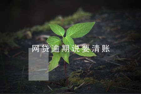 网贷逾期说要清账 网贷逾期说要清账