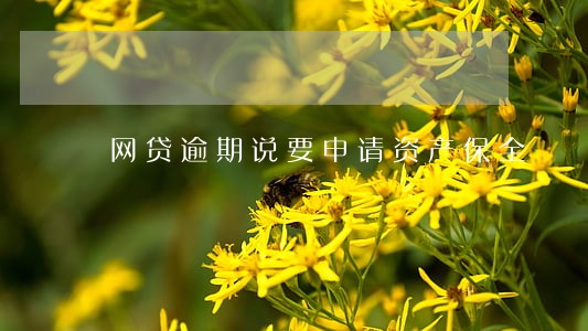 网贷逾期说要申请资产保全 网贷逾期说要申请资产保全