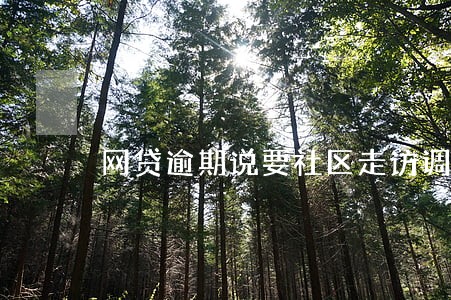 网贷逾期说要社区走访调查 网贷逾期说要社区走访调查
