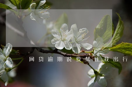 网贷逾期说要禁止我出行 网贷逾期说要禁止我出行