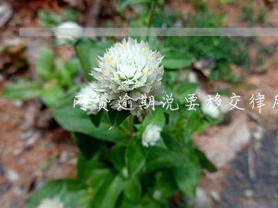 网贷逾期说要移交律所 网贷逾期说要移交律所