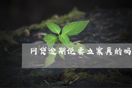 网贷逾期说要立案真的吗 网贷逾期说要立案真的吗