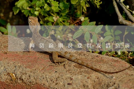 网贷逾期说要群发借贷资料 网贷逾期说要群发借贷资料