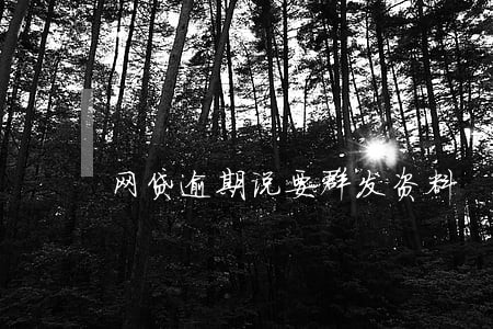 网贷逾期说要群发资料 网贷逾期说要群发资料