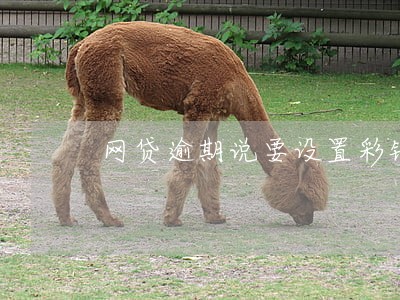 网贷逾期说要设置彩铃真假 网贷逾期说要设置彩铃真假