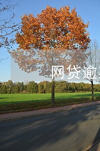 网贷逾期说要调查取证 网贷逾期说要调查取证