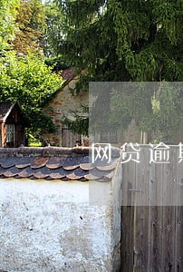 网贷逾期说要调查怎么处理