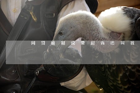 网贷逾期说要起诉还叫我去查 网贷逾期说要起诉还叫我去查