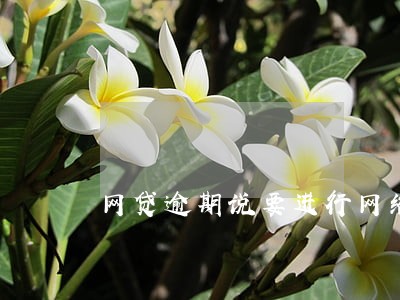 网贷逾期说要进行网络公布 网贷逾期说要进行网络公布