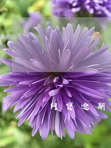 网贷逾期说要追究刑事责任