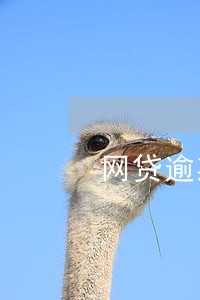 网贷逾期说要逮捕我 网贷逾期说要逮捕我