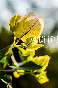 网贷逾期说要集体诉讼 网贷逾期说要集体诉讼