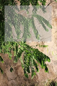 网贷逾期说要风险调查 网贷逾期说要风险调查