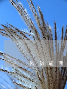 网贷逾期说让当地资产部门上门 网贷逾期说让当地资产部门上门
