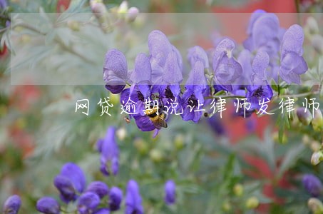 网贷逾期说让律师发律师函处理 网贷逾期说让律师发律师函处理