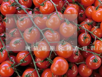 网贷逾期说调查通讯录 网贷逾期说调查通讯录