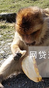 网贷逾期说走访核查是真的吗 网贷逾期说走访核查是真的吗