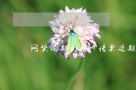 网贷逾期说起诉传票近期送达 网贷逾期说起诉传票近期送达