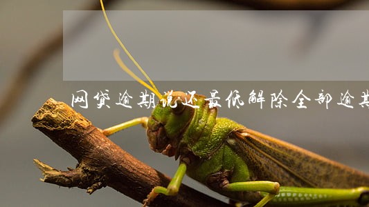 网贷逾期说还最低解除全部逾期 网贷逾期说还最低解除全部逾期