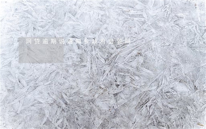 网贷逾期说通知乡政府会管吗 网贷逾期说通知乡政府会管吗