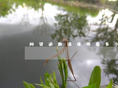 网贷逾期请律师要多少钱 网贷逾期请律师要多少钱