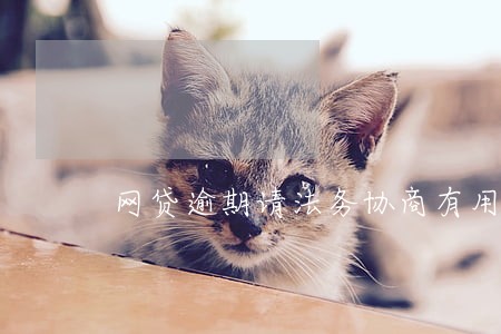 网贷逾期请法务协商有用吗 网贷逾期请法务协商有用吗