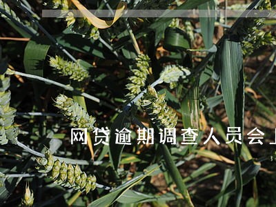 网贷逾期调查人员会上门调查吗 网贷逾期调查人员会上门调查吗