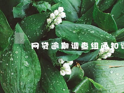 网贷逾期调查组通知调查 网贷逾期调查组通知调查