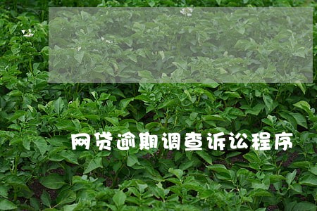 网贷逾期调查诉讼程序 网贷逾期调查诉讼程序