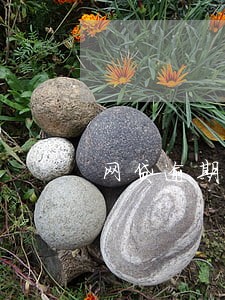 网贷逾期调解中心打电话是真的吗 网贷逾期调解中心打电话是真的吗