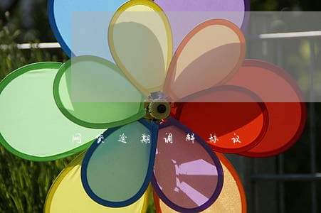 网贷逾期调解协议