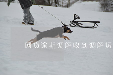 网贷逾期调解收到调解短信 网贷逾期调解收到调解短信