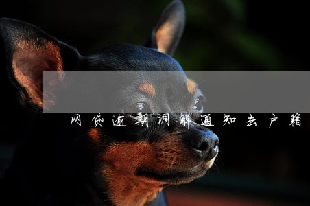 网贷逾期调解通知去户籍地调解 网贷逾期调解通知去户籍地调解
