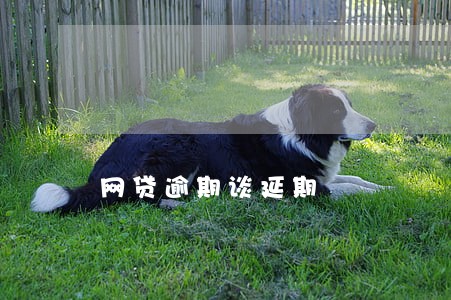 网贷逾期谈延期