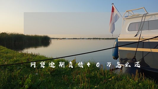 网贷逾期负债40万怎么还 网贷逾期负债40万怎么还