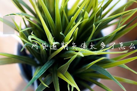 网贷逾期负债太多了怎么办 网贷逾期负债太多了怎么办
