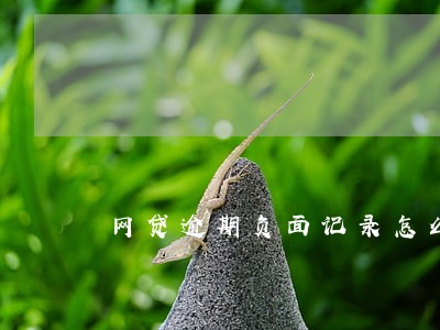网贷逾期负面记录怎么消除 网贷逾期负面记录怎么消除