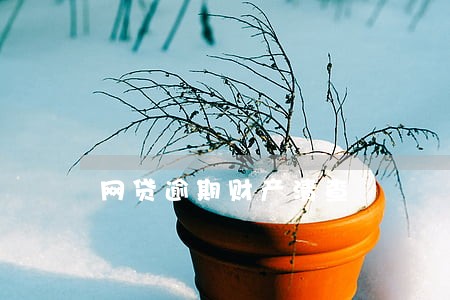 网贷逾期财产清查 网贷逾期财产清查