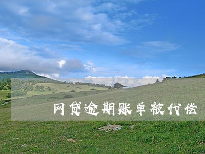 网贷逾期账单被代偿 网贷逾期账单被代偿
