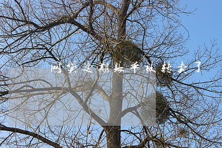网贷逾期账单被转卖了 网贷逾期账单被转卖了